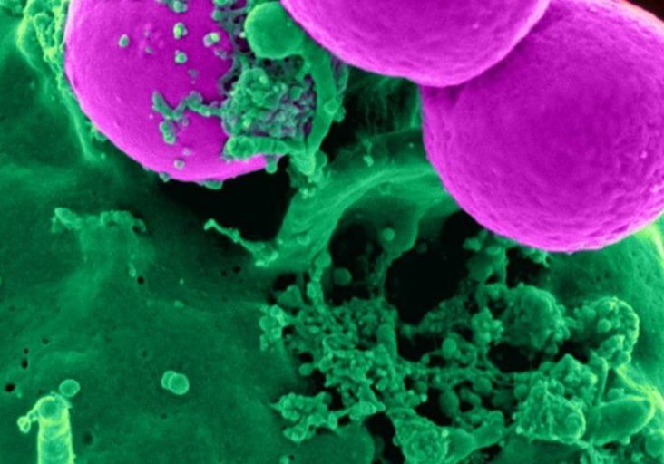 cell-human-science-45239-1-Custom-1100x550